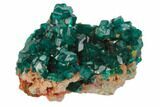 Sparkly, Gemmy Dioptase Crystal Cluster - Namibia #78701-1